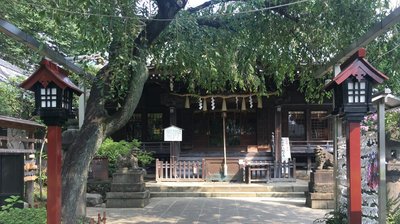 ⛩️ 하쿠산 신사 이미지 2